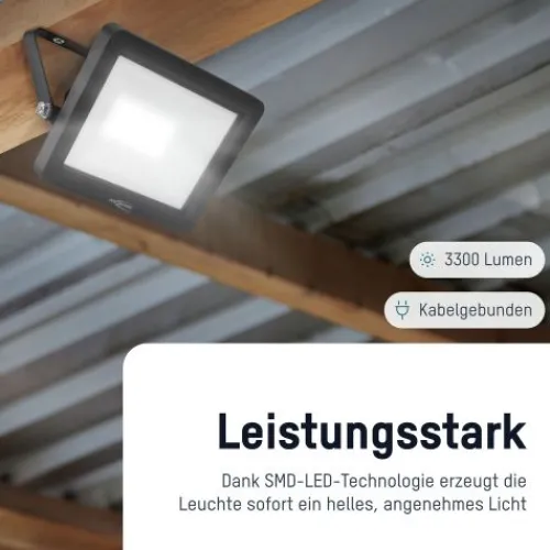 ANSMANN AG Flutlicht WFL30W kabelgebunden 30 W^ Flutlichter