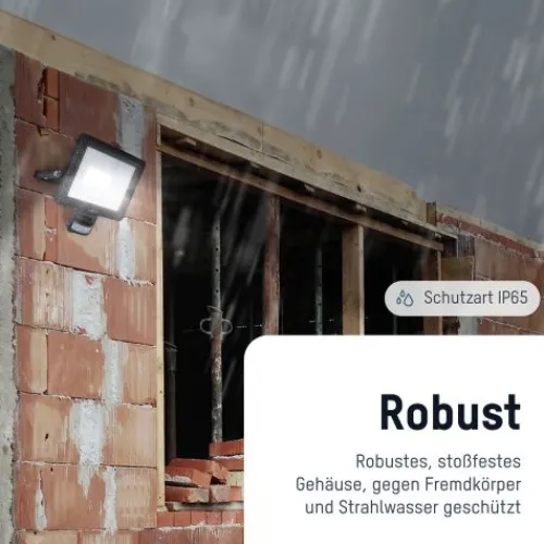 ANSMANN AG Flutlicht WFL10W-S kabelgebunden 10 W^ Flutlichter