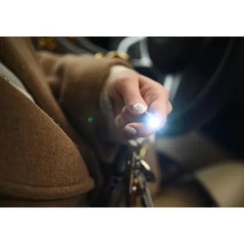 ANSMANN AG Laserpointer 2in1^ Spezial-lichter