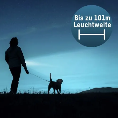 ANSMANN AG LED Taschenlampe Daily Use 150B batteriebetrieben^ Taschenlampen