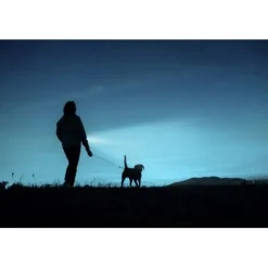 ANSMANN AG LED Taschenlampe Daily Use 150B batteriebetrieben^ Taschenlampen