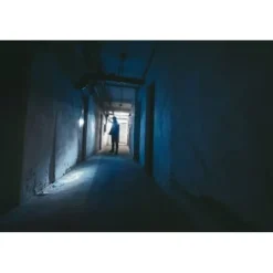 ANSMANN AG LED Taschenlampe Daily Use 150B batteriebetrieben^ Taschenlampen