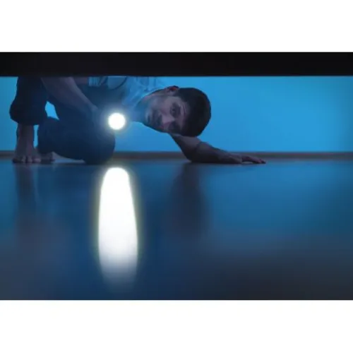 ANSMANN AG LED Taschenlampe Daily Use 150B batteriebetrieben^ Taschenlampen