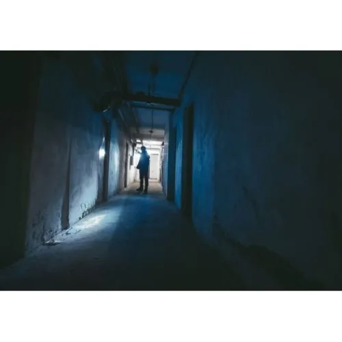 ANSMANN AG LED Taschenlampe Daily Use 300B batteriebetrieben^ Taschenlampen