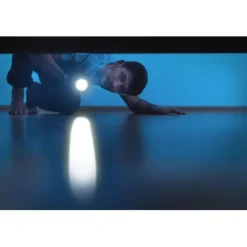 ANSMANN AG LED Taschenlampe Daily Use 300B batteriebetrieben^ Taschenlampen