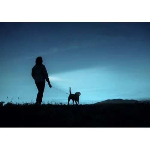 ANSMANN AG LED Taschenlampe Daily Use 270B batteriebetrieben^ Taschenlampen