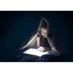 ANSMANN AG LED Taschenlampe Daily Use 270B batteriebetrieben^ Taschenlampen