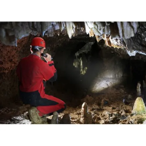 ANSMANN AG LED Taschenlampe Future T500F batteriebetrieben^ Taschenlampen