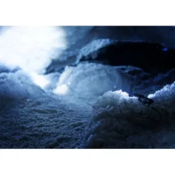 ANSMANN AG LED Taschenlampe M350F batteriebetrieben^ Taschenlampen