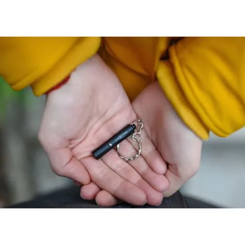 ANSMANN AG Mini Keychain Light^ Spezial-lichter