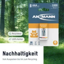 ANSMANN AG Toy NiMH Akku Micro AAA Typ 1000 (min. 800 mAh) maxE 2er Papierblister^ Akkus