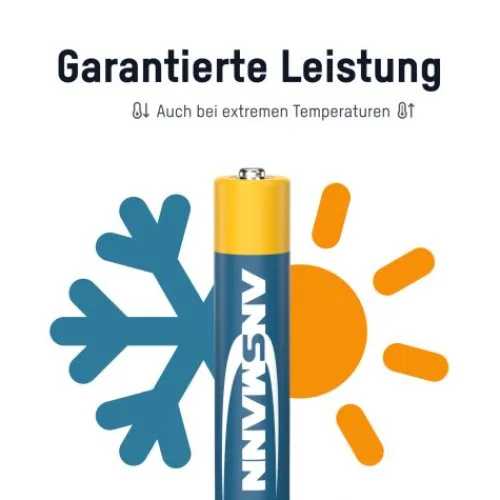 ANSMANN AG X-Power Alkaline Batterie Mini AAAA / LR8 2er Blister^ Batterien